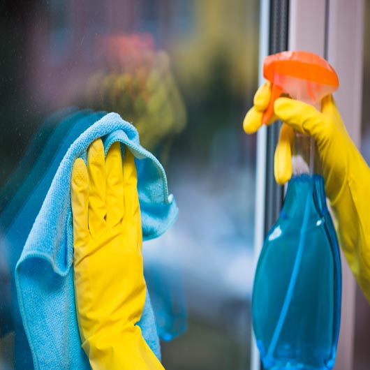 window cleaning