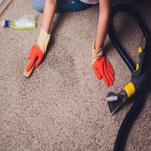 apartment cleaning services