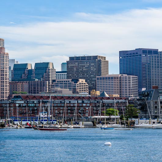 professional cleaning services