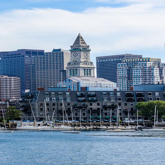 daily cleaning services